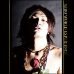 杉田登　むかしの橋 TAKASUGI DRUM WEB SITE : 高杉 登のPROFILE／DISCOGRAPHY